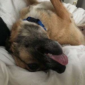 Meet your Posher, Martha